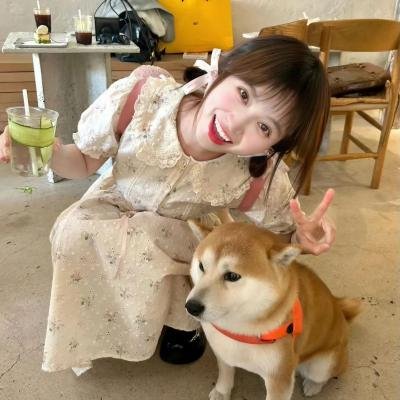 风和日丽